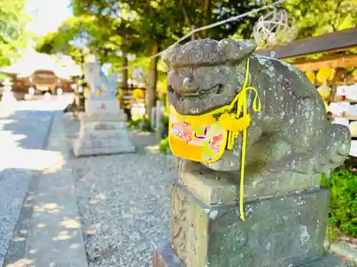 菊田神社の狛犬