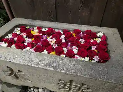 菅生神社の手水舎