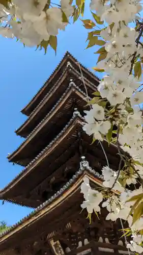 仁和寺(京都府)