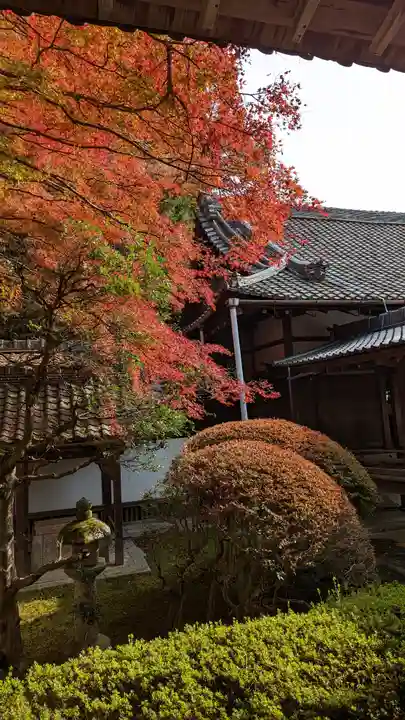 毘沙門堂門跡(京都府)