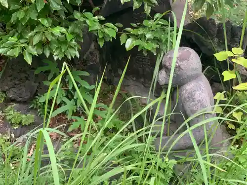 亀戸浅間神社の狛犬