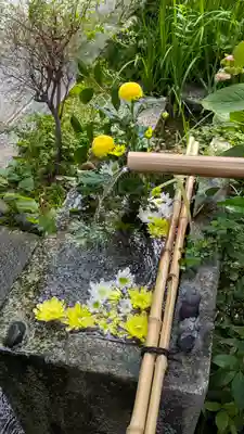 宝蔵寺(京都府)