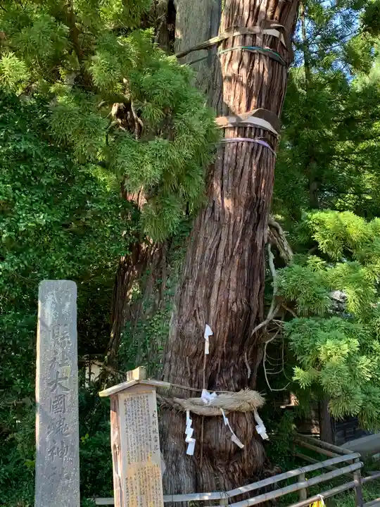 大國魂神社の自然