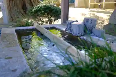 丹生酒殿神社の手水舎
