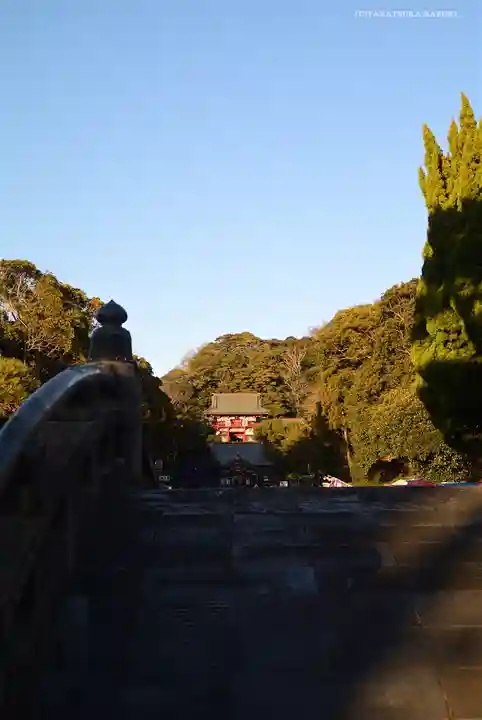 鶴岡八幡宮(神奈川県)