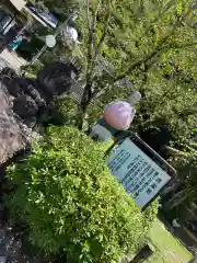 桃太郎神社（栗栖）(愛知県)