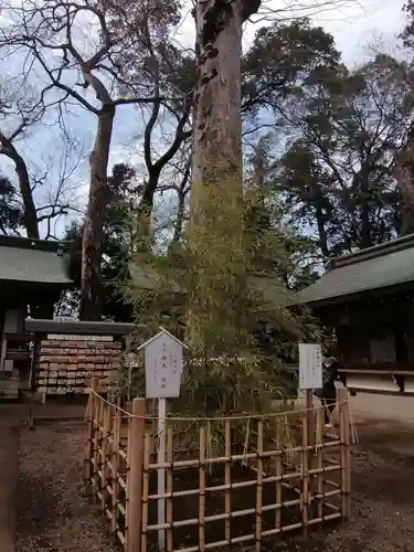 一言主神社の自然