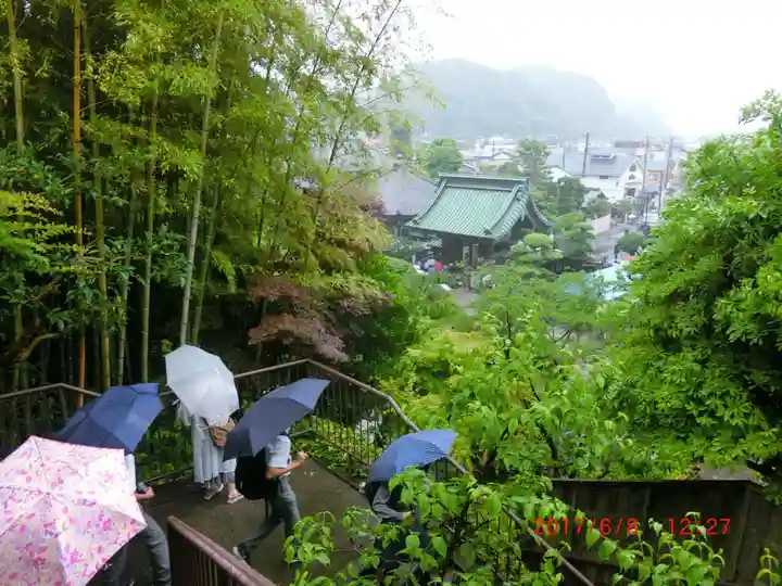 長谷寺(神奈川県)