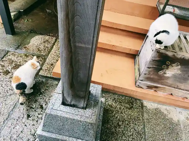 威光稲荷堂(東京都)