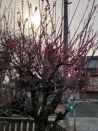 乙津寺　（鏡島弘法）(岐阜県)