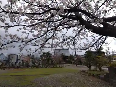 称念寺(新潟県)