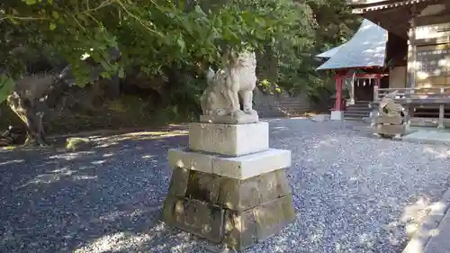 住吉神社の狛犬