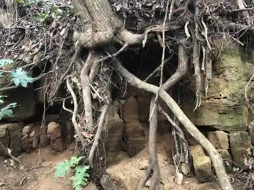 稲荷神社の自然