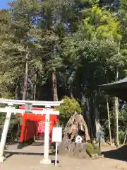 常磐神社の鳥居