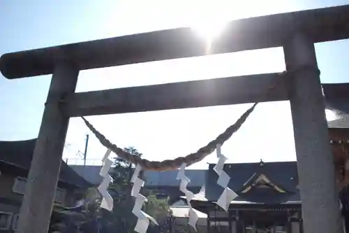今泉八坂神社の鳥居