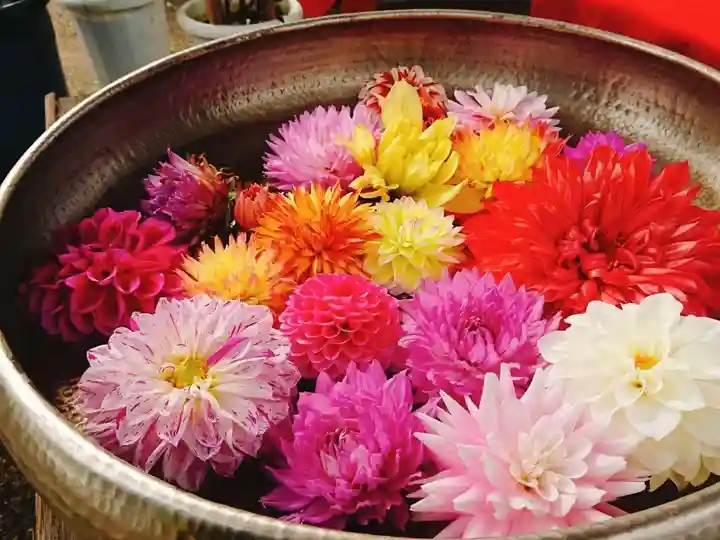 上野東照宮の手水舎