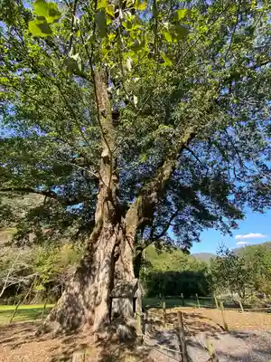 天石門別神社(岡山県)