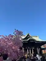桜神宮の{uncategorized: "未分類", other: "その他", undefined: "問題あり", building: "その他建物", grave: "お墓", sacred_gate: "鳥居", guardian: "狛犬", statue: "像", buddha: "仏像", history: "歴史", nature: "自然", garden: "庭園", animal: "動物", pagoda: "塔", temizu: "手水舎", mountain_gate: "山門・神門", sanctuary: "本殿・本堂", subordinate: "末社・摂社", art: "芸術", scenery: "景色", jizo: "地蔵", ema: "絵馬", goshuin: "御朱印", omikuji: "おみくじ", items: "授与品その他", amulet: "お守り", goshuincho: "御朱印帳", eats: "食事", festival: "お祭り", votive_dance: "神楽", shichigosan: "七五三参", wedding: "結婚式", experience: "体験その他", initially: "初詣", around: "周辺", anti_infection: "感染症対策"}