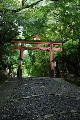 日吉大社の鳥居