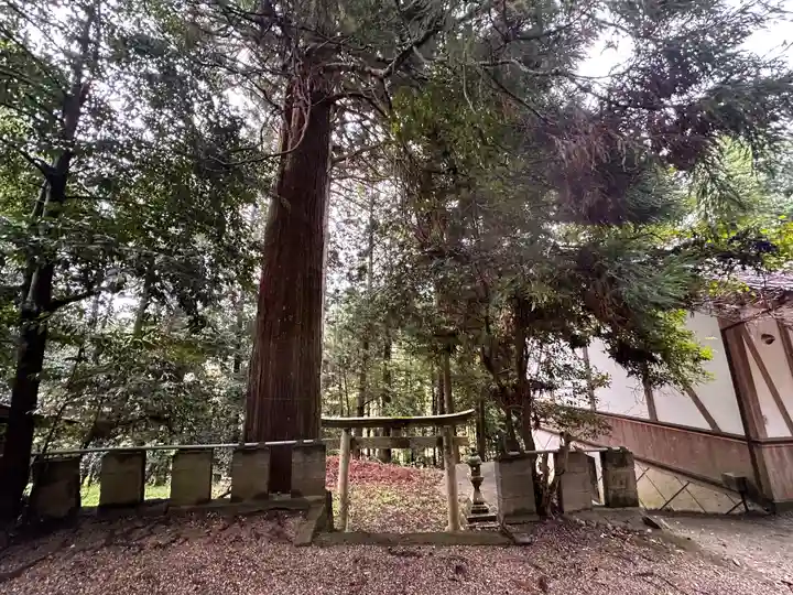 夜支布山口神社(奈良県)