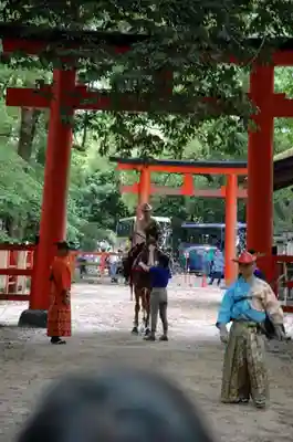 賀茂御祖神社(下鴨神社)の鳥居