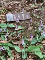 那須温泉神社の自然