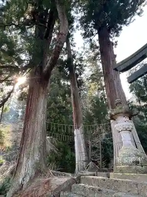 妙義神社(群馬県)