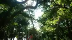 尾張猿田彦神社の自然