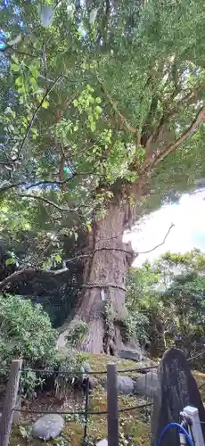 荏柄天神社(神奈川県)