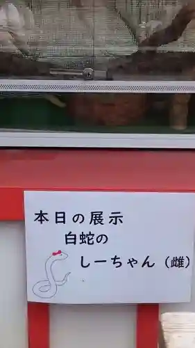 蛇窪神社(東京都)