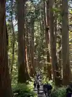 戸隠神社九頭龍社(長野県)