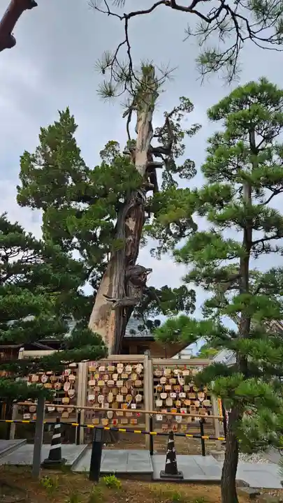 善光寺(長野県)