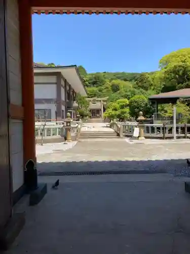 早吸日女神社(大分県)