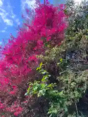 大山祇神社(福岡県)