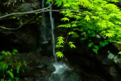 戸隠神社奥社(長野県)