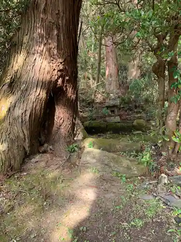 熊野神社の末社