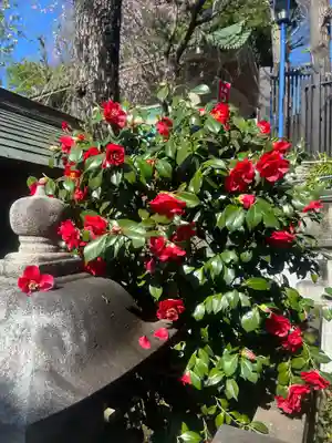五條天神社(東京都)