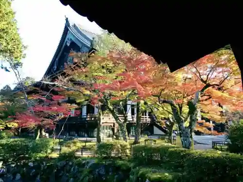 真正極楽寺（真如堂）の建物その他