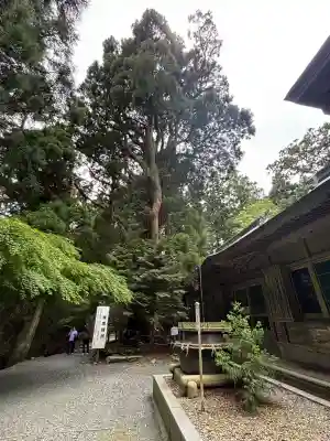 砥鹿神社(奥宮)の{uncategorized: "未分類", other: "その他", undefined: "問題あり", building: "その他建物", grave: "お墓", sacred_gate: "鳥居", guardian: "狛犬", statue: "像", buddha: "仏像", history: "歴史", nature: "自然", garden: "庭園", animal: "動物", pagoda: "塔", temizu: "手水舎", mountain_gate: "山門・神門", sanctuary: "本殿・本堂", subordinate: "末社・摂社", art: "芸術", scenery: "景色", jizo: "地蔵", ema: "絵馬", goshuin: "御朱印", omikuji: "おみくじ", items: "授与品その他", amulet: "お守り", goshuincho: "御朱印帳", eats: "食事", festival: "お祭り", votive_dance: "神楽", shichigosan: "七五三参", wedding: "結婚式", experience: "体験その他", initially: "初詣", around: "周辺", anti_infection: "感染症対策"}