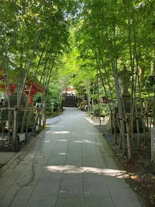 來宮神社の御朱印・アクセス情報（静岡県来宮駅）|ホトカミ