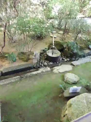 龍安寺(京都府)