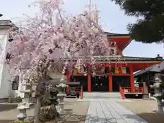 大圓寺の建物その他