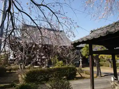 正道寺の本殿・本堂
