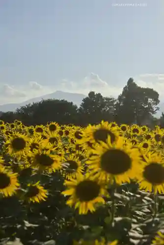座間神社(神奈川県)