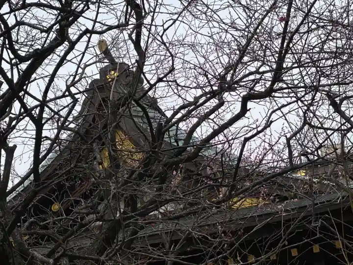 牛天神北野神社の本殿・本堂