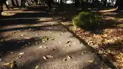 神明社（国府宮神明社）の景色