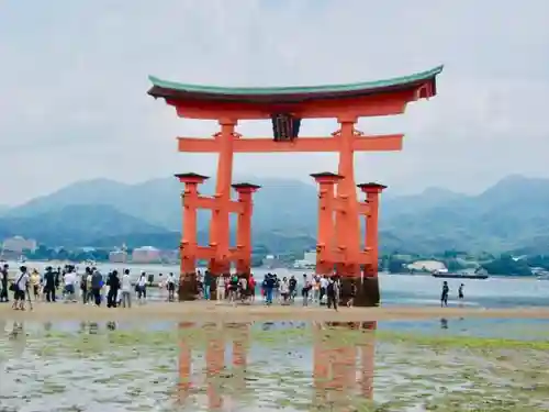 厳島神社の鳥居