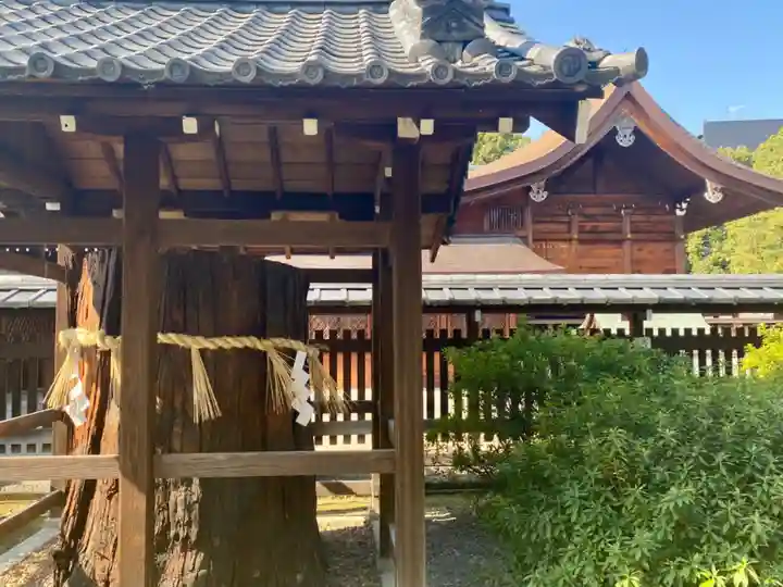 城南宮(京都府)