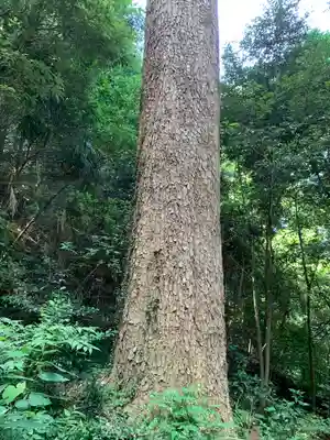 賀茂神社(群馬県)