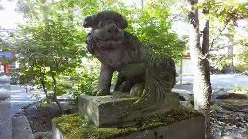 比布神社の狛犬